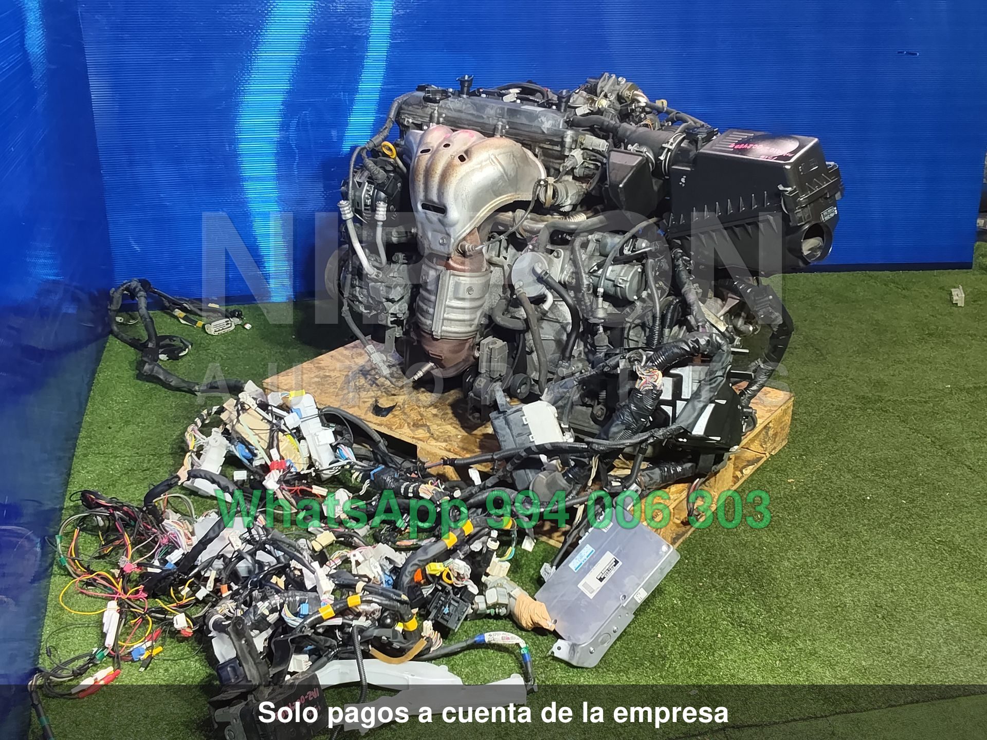 Foto 5