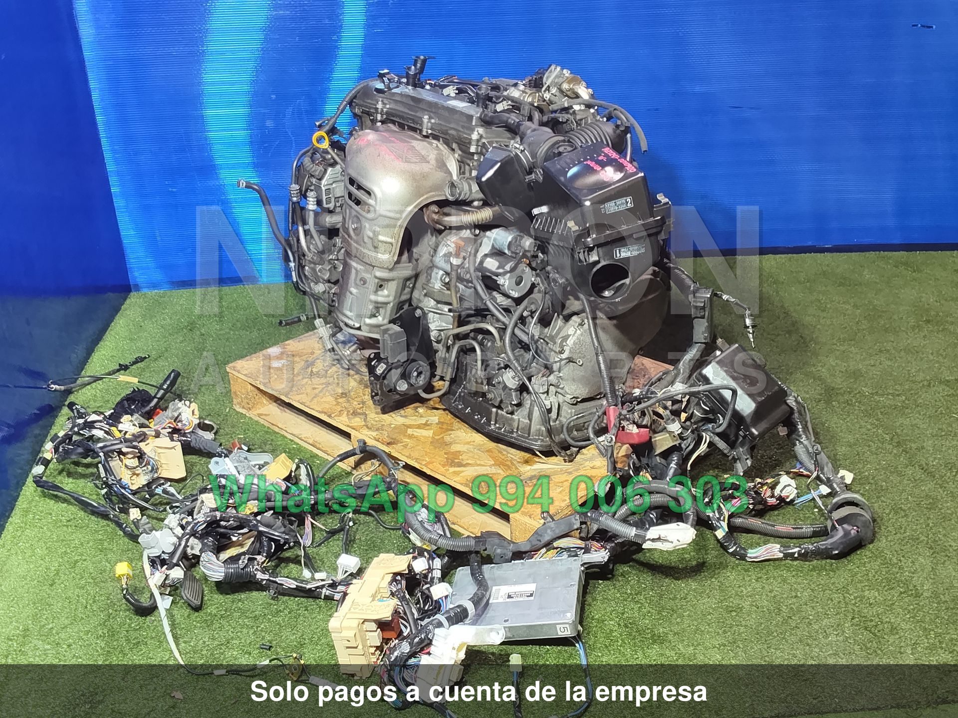 Foto 5
