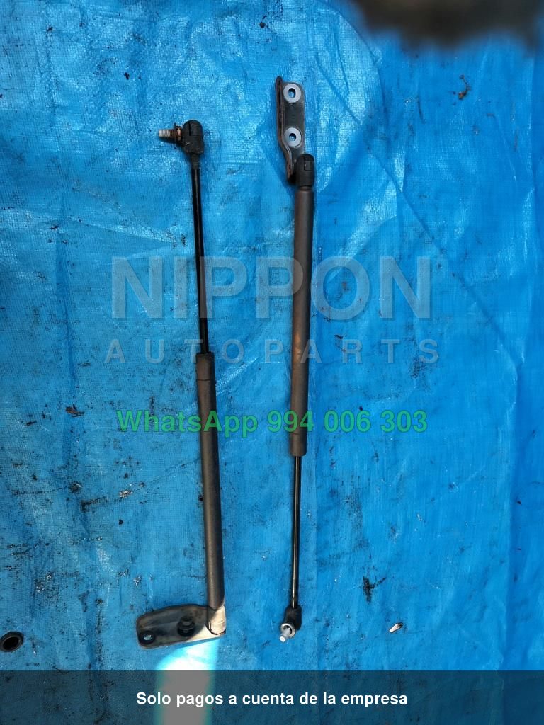 AMORTIGUADOR DE COMPUERTA PAR NISSAN AD VAN 1999-2008 VAN VFY11 WHNY11